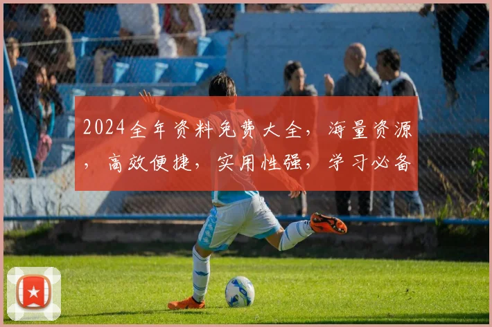 2024全年资料免费大全，海量资源，高效便捷，实用性强，学习必备，一站式获取