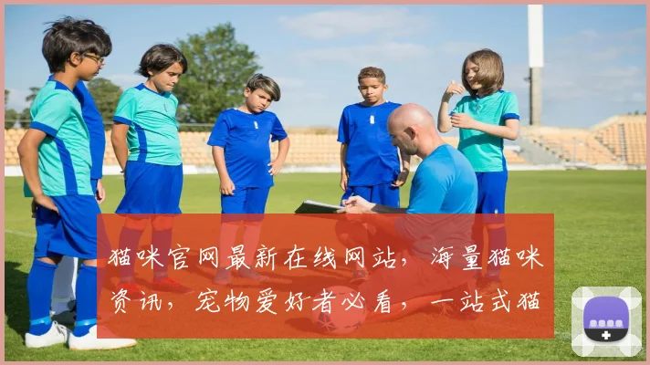 猫咪官网最新在线网站，海量猫咪资讯，宠物爱好者必看，一站式猫咪生活指南，尽在掌握