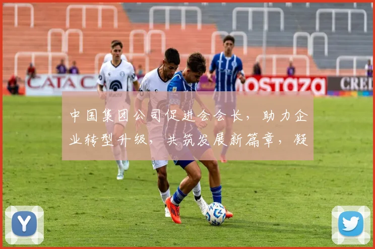 中国集团公司促进会会长，助力企业转型升级，共筑发展新篇章，凝聚力量，共赢未来