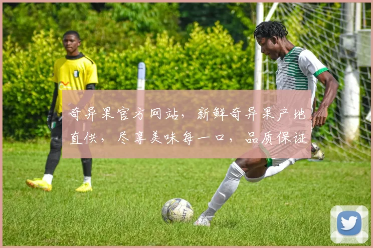 奇异果官方网站，新鲜奇异果产地直供，尽享美味每一口，品质保证，尽在奇异果官网
